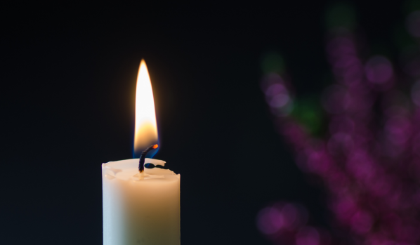 article featured image